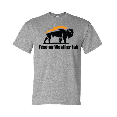 PRINTED - Gildan Adult 50/50 T-Shirt Thumbnail