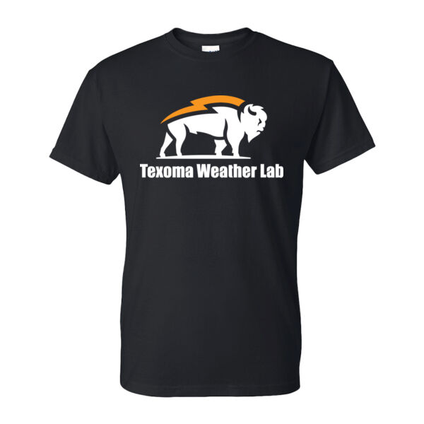 PRINTED - Gildan Adult 50/50 T-Shirt Thumbnail